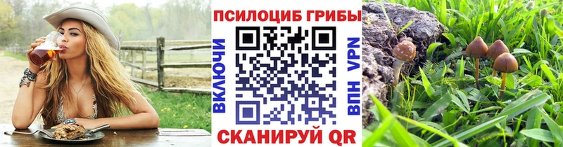 Псилоцибиновые грибы MAGIC MUSHROOMS Уяр
