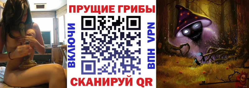 Псилоцибиновые грибы Psilocybine cubensis  Уяр 